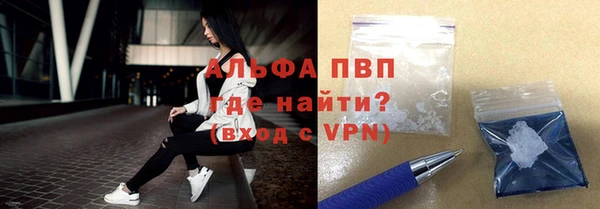 СК Абинск