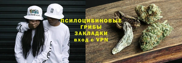 СК Абинск