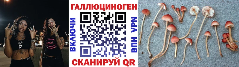 Псилоцибиновые грибы прущие грибы  даркнет сайт  Инта 